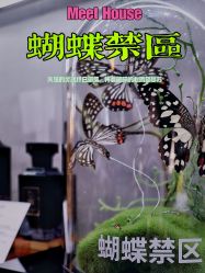 -香遇沙龙香水·调香·团建