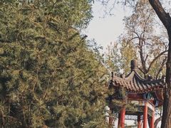 -莲湖公园