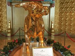 -华西龙希大酒店旅游观光区