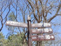 -香山公园