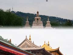-塔尔寺