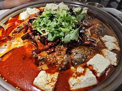 -师烤·豆花烤鱼(广州荔湾扬韬广场店)