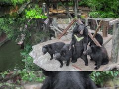-长鹿旅游休博园