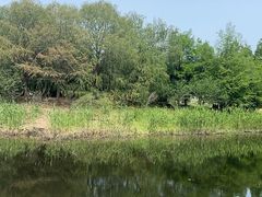 -同里国家湿地公园