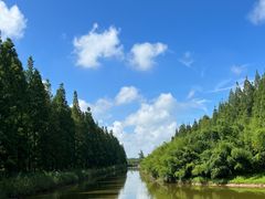 -黄海国家森林公园