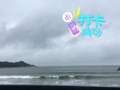 -南澳岛打卡果汁冰公司