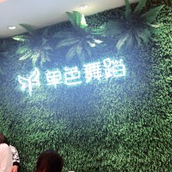 -单色舞蹈