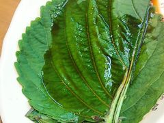 -壹兆炭火烧肉·烤鳗鱼(金水花城店)