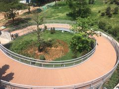 -广州雕塑公园