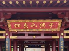 -庐山风景名胜区-东林大佛