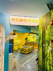 -神奇动物撸宠馆·羊驼·小浣熊·异宠(豫园店)