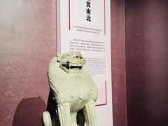 -隋唐大运河文化博物馆
