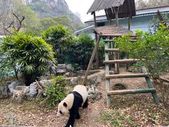 -柳州市动物园