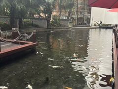 -Waterfall瀑布湾优健源(华侨城店)