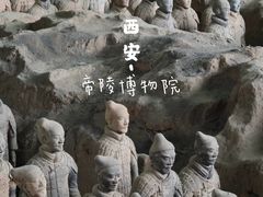 -秦始皇帝陵博物院(兵马俑)