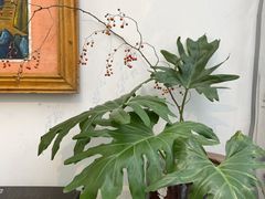 -孟林厨房(798店)