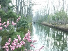 -合肥滨湖国家森林公园