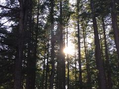 -塞罕坝国家级自然保护区