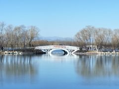 -大兴滨河森林公园