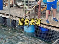 -南丫岛