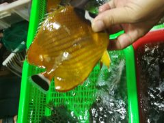 -都斛海鲜街