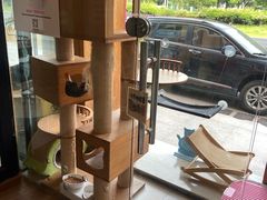 -哆趣宠物医院·眼科·内镜·急重症转诊中心(上海店)