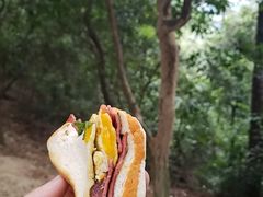 -火炉山森林公园