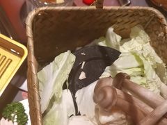 -藤原布二·八佰善会席料理(奥体店)