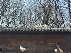 -祥源·阜阳生态乐园