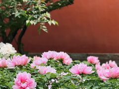 -北京市劳动人民文化宫