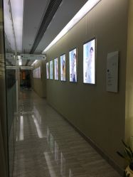-上海首尔丽格医疗美容医院