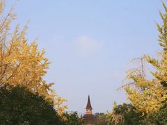 -成都南湖公园