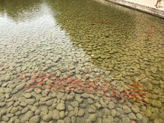 -中国艺术研究院油画院