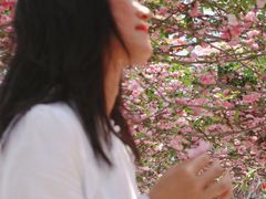 -广东花都香草世界旅游度假区