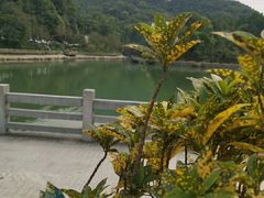 -广州市帽峰山景区