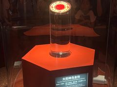 -金沙遗址博物馆