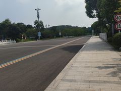 -羊山湖公园