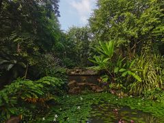 -曼听御花园