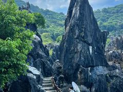 -玉石林风景区