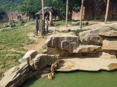 -无锡动物园·太湖欢乐园