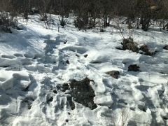 -太子岭滑雪场