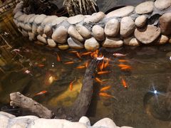 -馬蘭花開(车站大道店)