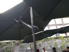 -见山书院