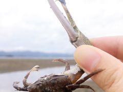 -盐洲岛