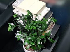 -李师傅修车连锁(万柳店)