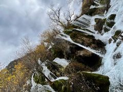 -九寨沟-树正沟