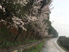 -外蒲山