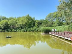 -翠湖国家城市湿地公园