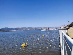 -滇池海埂公园