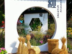 -海心沙亚运公园